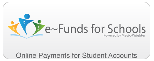 Online Payments: eFunds