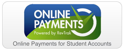 Online Payments: new revtrack