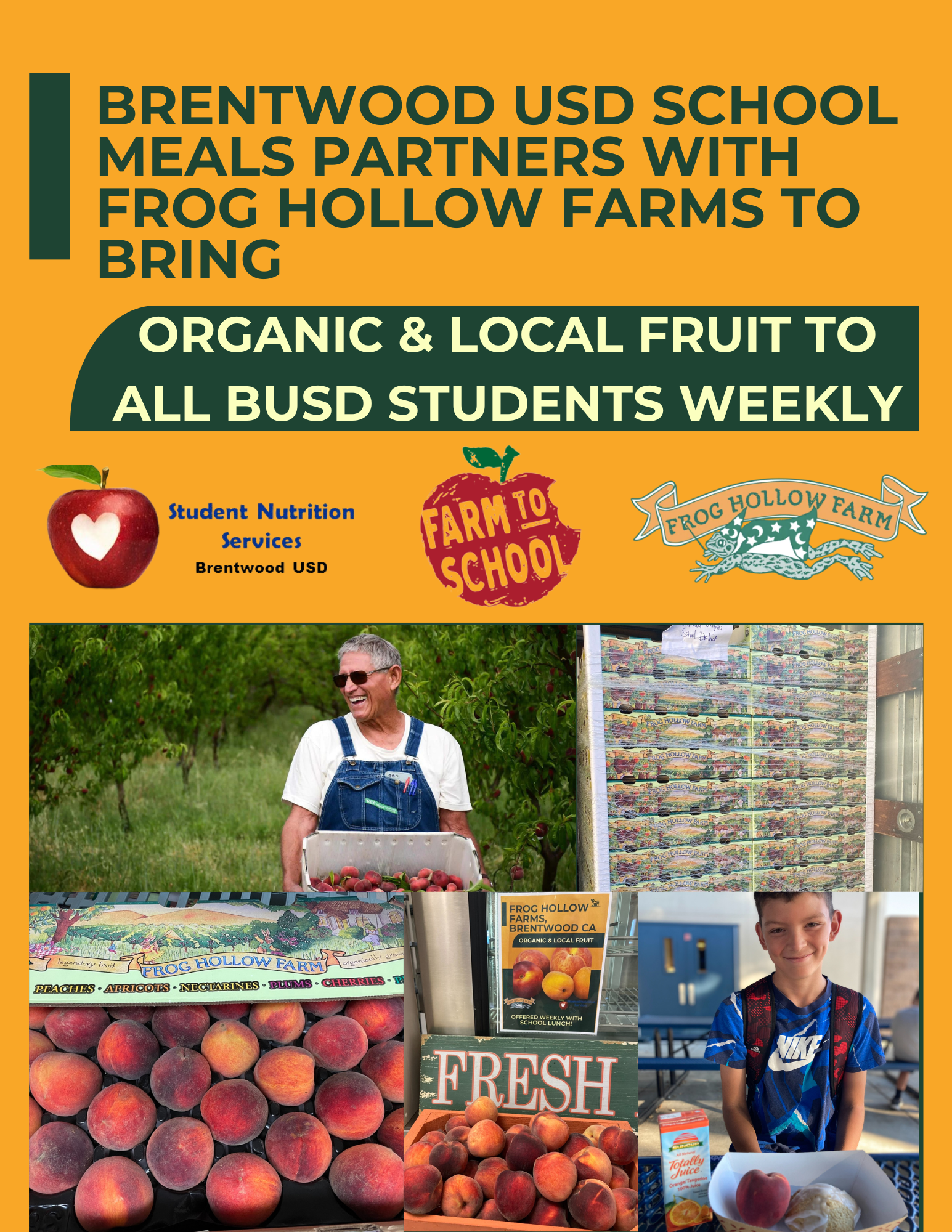 Organic and Local fruit at BUSD.png