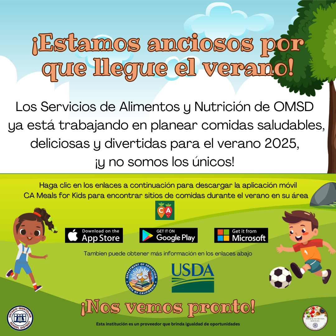 SFSP flyer sp.png